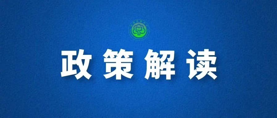 市级政策文字解读